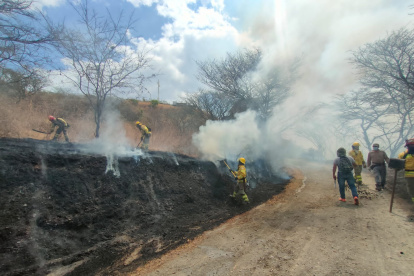 Bomberos combaten un incendio forestal en Vilcabamba.