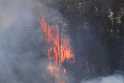 Incendio forestal en Quito.
