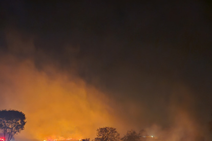 Daño. Se investiga el origen del incendio que causó daños en vegetación.