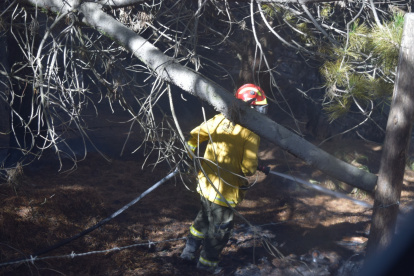 La ministra Inés Manzano indicó que en Cotopaxi hay una zona que lleva 27 días consecutivos de incendios.