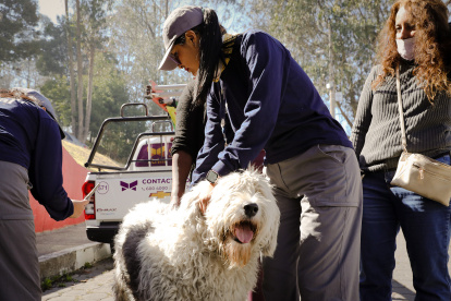 En total, la UBA atendió a 58 mascotas en las zonas afectadas por el fuego.
