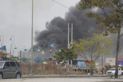 Incendio forestal en las inmediaciones del Parque Samanes.