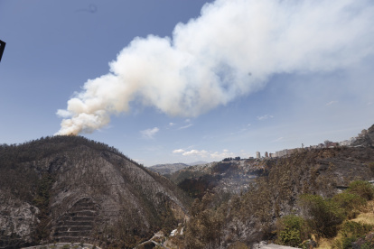 Cuatro personas han sido detenidas por los incendios en Quito. La Policía busca a dos sospechosos por el fuego en Guápulo.