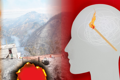 Múltiples incendios forestales han sido ocasionados por seres humanos.