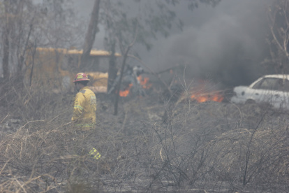 Un incendio forestal afectó un tramo del parque Samanes, en el norte de Guayaquil, la tarde de este jueves 26 de septiembre.