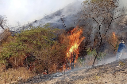 Incendio en zona natural de Vilcabamba.