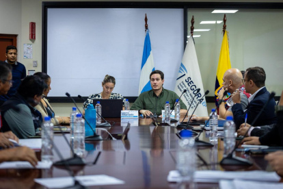 Fernando Cornejo, presidente de Segura EP, declaró que espera que el Gobierno tenga un plan robusto para atender las emergencias de Guayaquil.