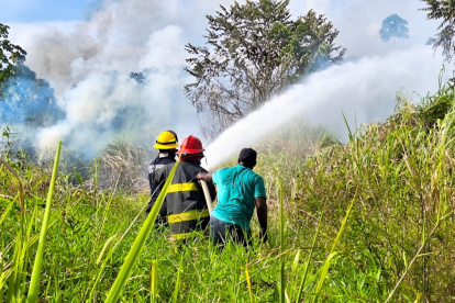 Incendios forestales en Esmeraldas.
