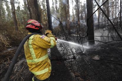 El Cuerpo de Bomberos realiza labores de enfriamiento en Guápulo y el cerro Auqui, para apagar totalmente el incendio que se inició el martes.