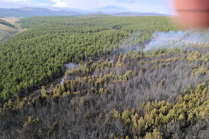 Más de 300 hectáreas se vieron afectadas en el incendio forestal de Pansache.