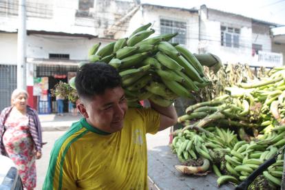 Mercado. Un trabajador lleva un racimo de barraganete para un depósito ubicado en el suroeste de Guayaquil.