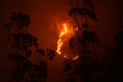 Varios incendios forestales se han registrado en Ecuador.