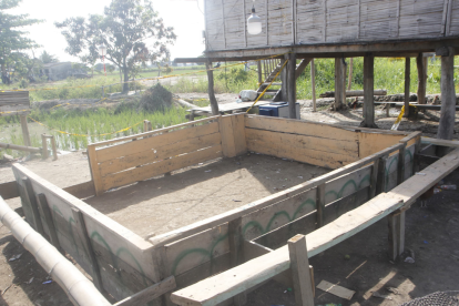 Brutal matanza en Samborondón se saldó con siete muertos.
