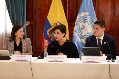 Proceso.La diplomacia ecuatoriana se reunió con delegados de la ONU para analizar los daños de los incendios en Ecuador