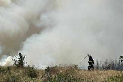 Incendio forestal en el Km 13.5 de la Av Miguel Yúnez Zagia
