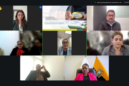 Asamblea. Las últimas sesiones de la mesa de Fiscalización se han realizado de forma virtual.