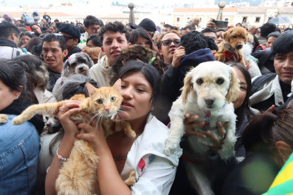 Estaba previsto que al menos 300 personas lleguen a la iglesia de San Francisco para solicitar la bendición de sus mascotas en Quito.