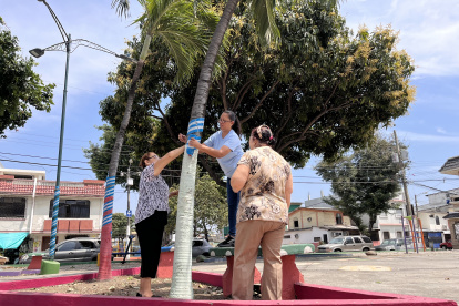 Unión.  Moradores de Sauces 1, junto con la líder barrial, visten los árboles y postes con cintas de la bandera de Guayaquil. Esta actividad la hacen el primer fin de semana de octubre.

AG-EXPRESO
AG-EXTERNOS