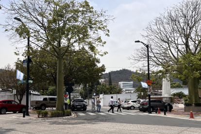 Limpieza. Mientras colocan las banderas en la parte alta de los postes, la líder de la comunidad de Los Ceibos aprovecha para recolectar la basura que está en las calles. La ciudadela siempre luce limpia.