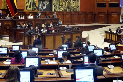 El Pleno de la Asamblea Nacional elegirá a su primer vicepresidente el martes 8 de octubre de 2024.
