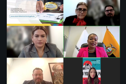 Paola Cabezas es una de las proponentes del juicio político contra la ministra del Interior, Mónica Palencia.