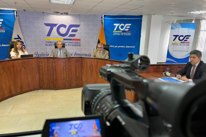 Entidad. El TCE deberá analizar las 69 pruebas presentadas por presunta violencia política de género.