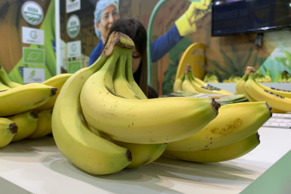 Fruta. Bananas de Ecuador en la feria Fruit Attraction 2024, este martes en IFEMA, Madrid. Ecuador y Perú son los dos países latinoamericanos que más han incrementado su presencia en la feria hortofrutícola Fruit Attraction que se ha inaugurado este martes en Madrid con expositores repletos de bananas y aguacates. EFE/ Patricia Cotelo Bertaiola
