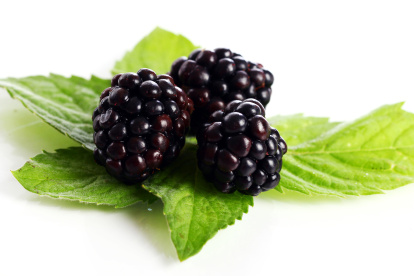 Aprende los beneficios de incluirlas en tu dieta diaria y protege tu piel de los signos de envejecimiento