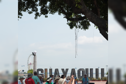 Imagen referencial para graficar este artículo.