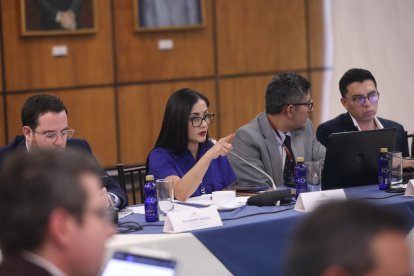 La presidenta Viviana Veloz en la reunión con las mesas legislativas.