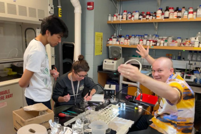 Un equipo de investigadores ha desvelado la sorprendente capacidad de supervivencia de unos organismos planctónicos gelatinosos, conocidos como medusas peine aunque no son exactamente medusas, que llegan a fusionarse entre dos individuos para seguir viviendo cuando resultan heridos. Crédito: Oscar Arenas