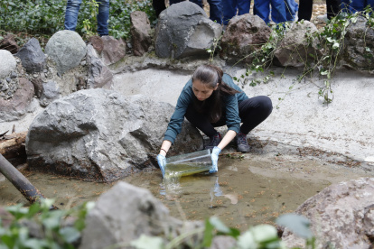 Las Cuadras. En el parque del sur se reintrodujo 267 ‘uilli uillis’.