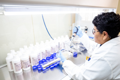 Investigación. Universidades buscan que sus proyectos de investigación sean conocidos en todo el mundo.