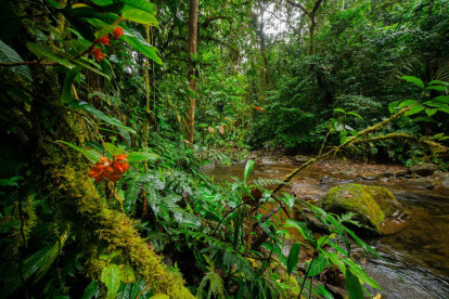 El país tiene la opción de volver rentable sus recursos naturales.