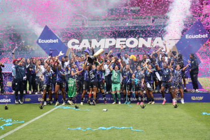 La Superliga Femenina 2024 tuvo 14 equipos participantes. Se jugó en 2 fases y se disputaron en total 85 partidos.