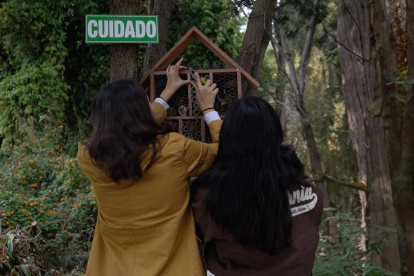 Programa. Los estudiantes hacen hoteles para las especies amenazadas.