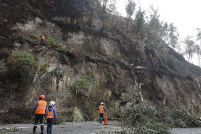 Los árboles en la zona estaban a punto de caer.