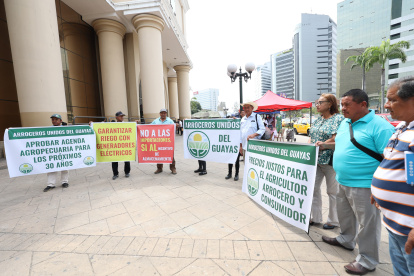 Las asociación de arroceros exigen medidas al Gobierno.