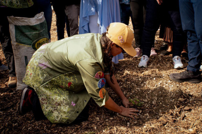 La Fundación ha trabajado en más de 15 poblaciones sembrando árboles nativos.