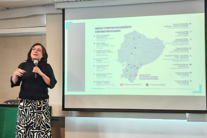 El gremio se defiende y expone que las tarifas del sector son parte de un pliego aprbado para el sector industrial. En la foto María Eulalia Silva, presidenta de la Cámara de Minería de Ecuador.