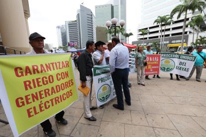 Plantón. Arroceros de asociaciones de Daule, Santa Lucía, Salitre y Samborondón se manifestaron en Guayaquil.