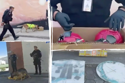 La droga tenía como destino final India y España; fue decomisada en Quito.