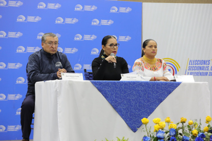 En noviembre de 2021 debió renovarse a dos vocales del CNE. EL periodo de todos los consejeros culmina en noviembre de 2024.