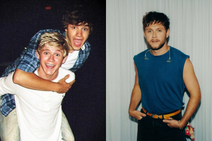 Niall Horan fue el último de los One Direction  en decirle adiós a Liam