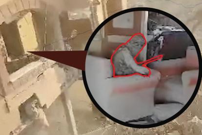 Hamás advirtió a Israel que la muerte de Yahya Sinwar no pondrá fin a su movimiento ni a la lucha del pueblo palestino.