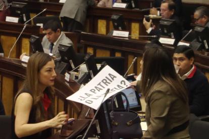 Durante la sesión que se trató el juicio político a Palencia, el oficialismo fue con carteles al Pleno.