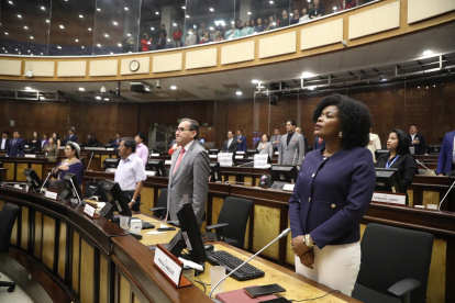 Luego del debate, el proyecto regresará a la mesa de Desarrollo Económico para procesar los aportes para un segundo debate donde se votará su aprobación.