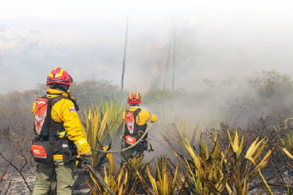Tras los incendios forestales que afectó a Quito el Municipio iniciará con el plan de reforestación