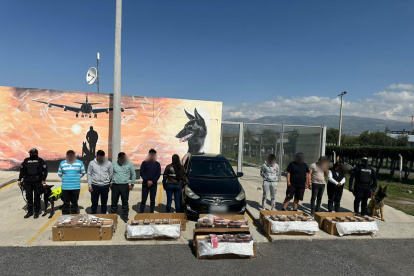 Las cajas de flores con droga estaban en la parte posterior de un avión que tenía como destino Catar.