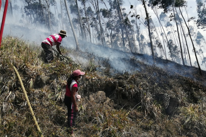 Comunidad. Los comuneros también se han unido para la lucha contra los incendios, aunque también se conoce que algunos son provocados.